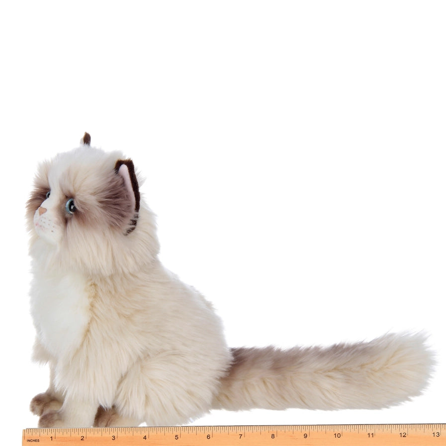 Tasha the Himalayan Cat Toy