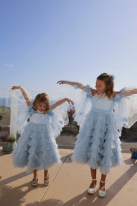 Alaska Baby Blue Tulle Dress
