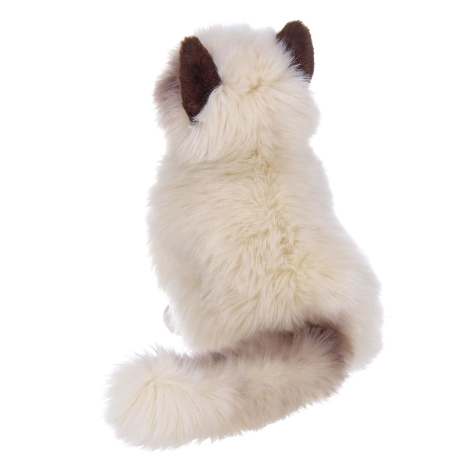 Tasha the Himalayan Cat Toy