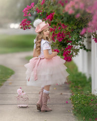 Pink Ombre Tutu Skirt - Petite Maison Kids