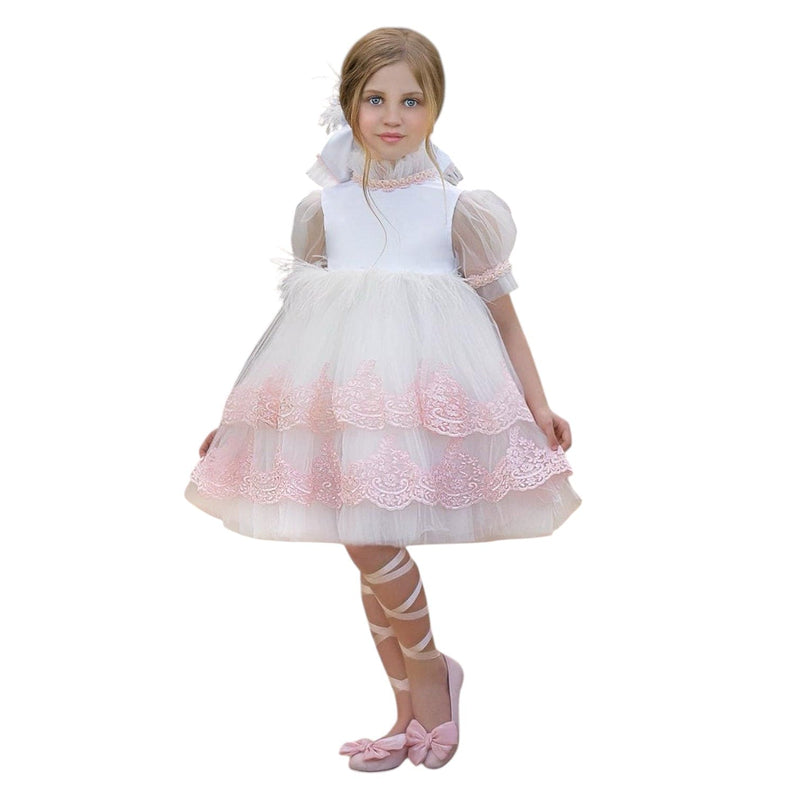 Laila Embroidered Feather Dress