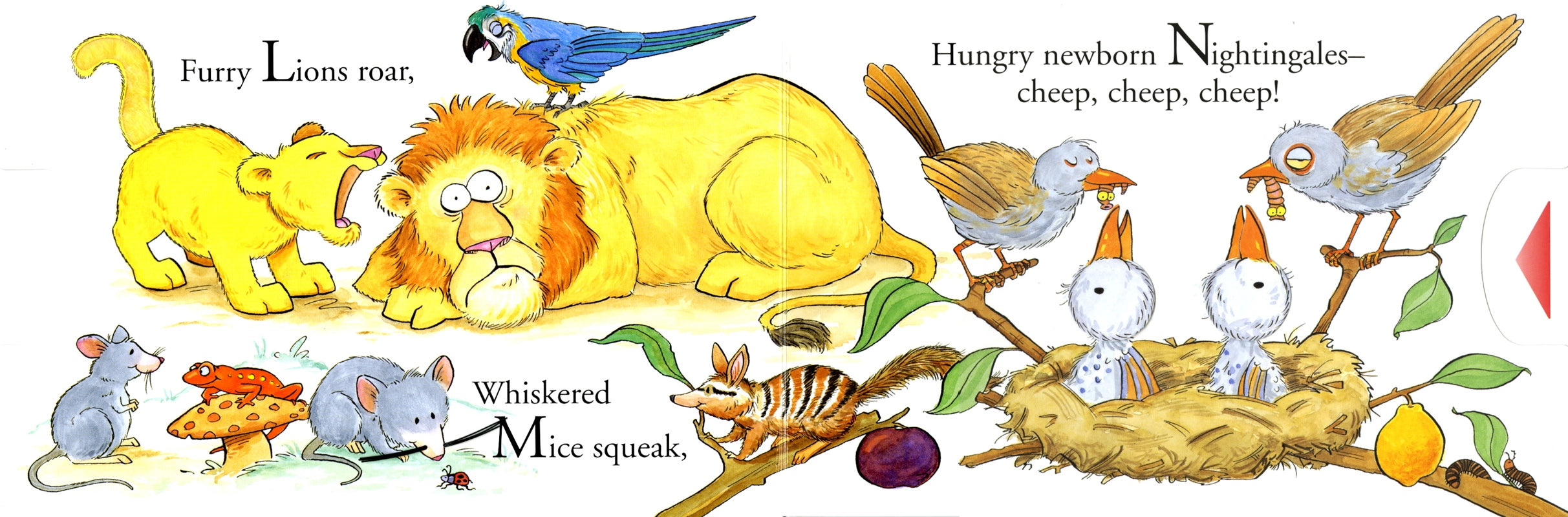 Alphabet By Matthew Van Fleet Book