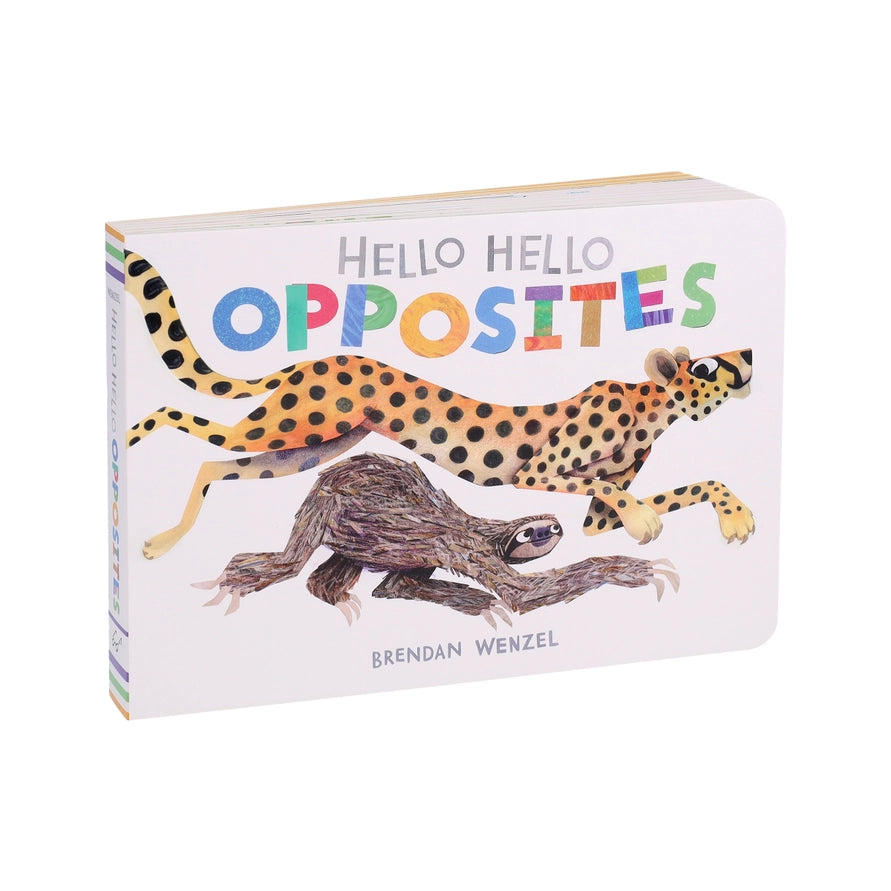 Hello Hello Opposites Book