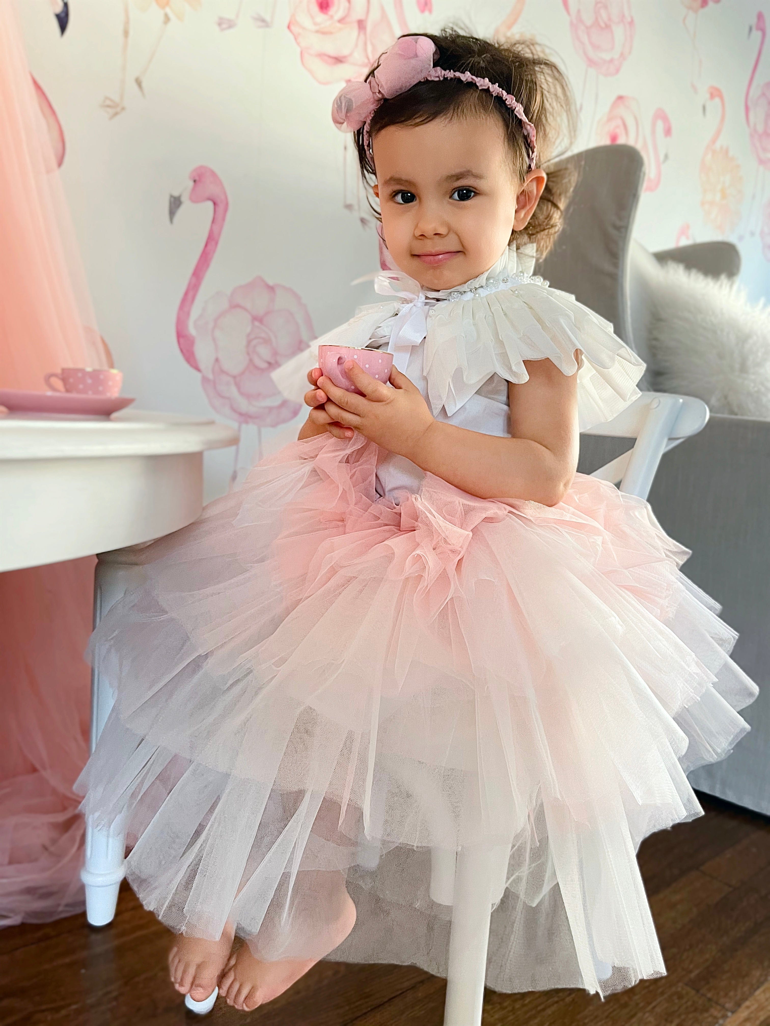 Ombre Tutu Skirt - Petite Maison Kids