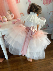 Ombre Tutu Skirt - Petite Maison Kids