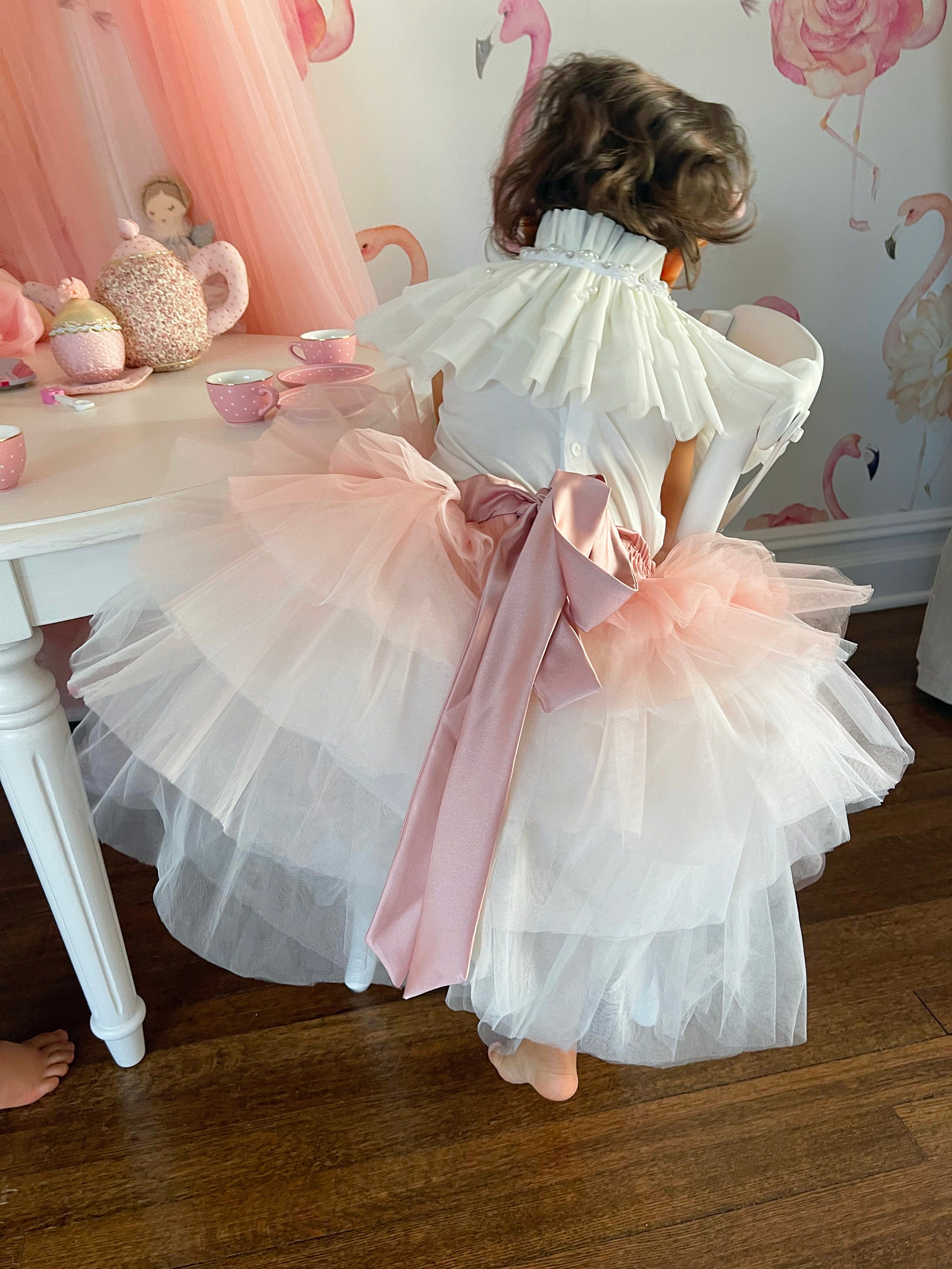 Ombre Tutu Skirt - Petite Maison Kids