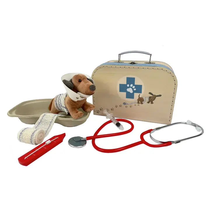 Veterinary Case Toy