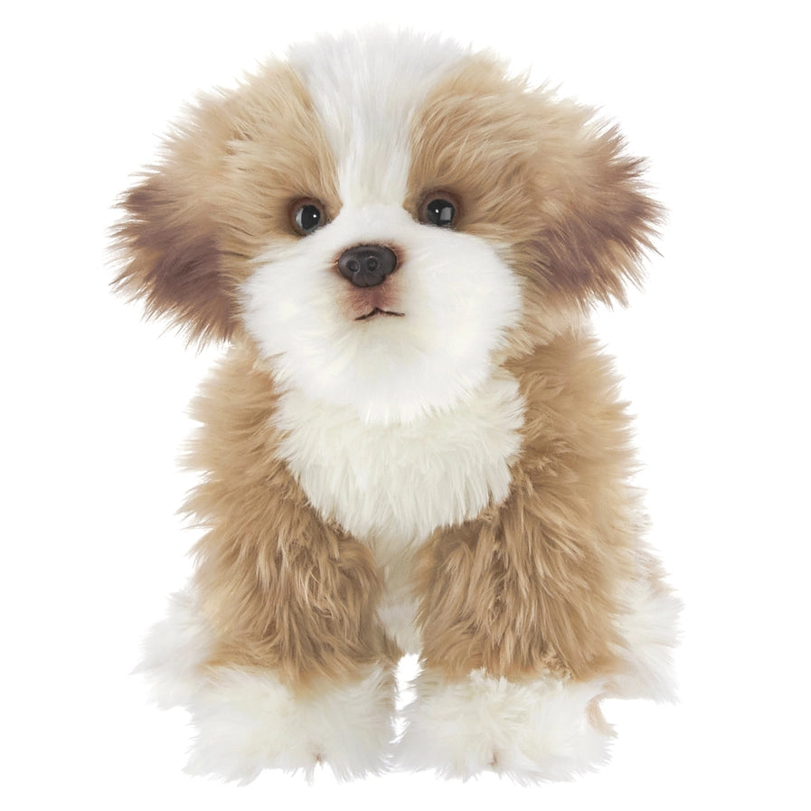Murphy the Maltipoo Toy Dog