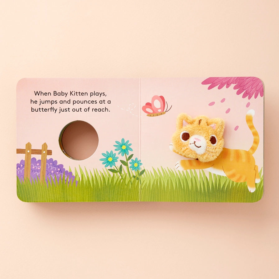 Baby Kitten Book