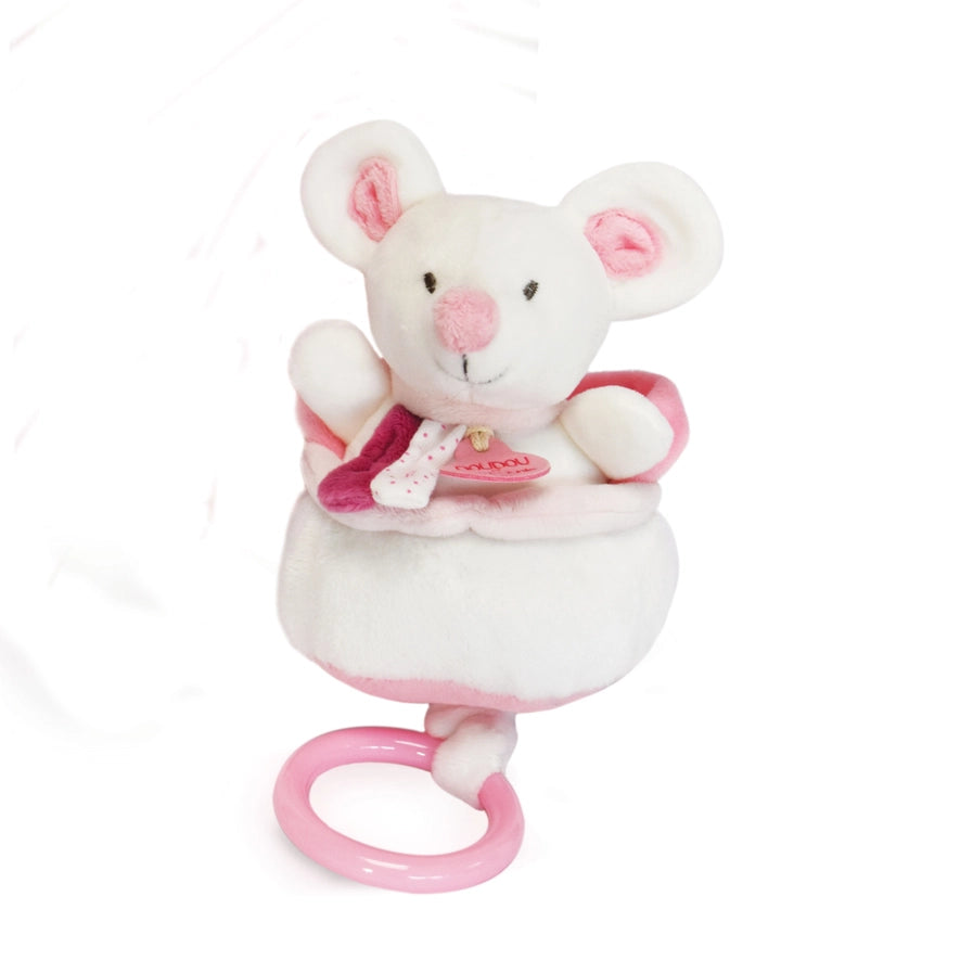 Baby Musical Pull Toys