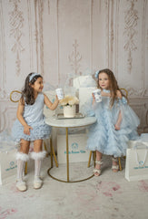 Skylar Blue Tulle Tutu Dress