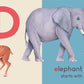 Carry Me: Animal Alphabet Book