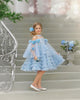 Alaska Baby Blue Tulle Dress