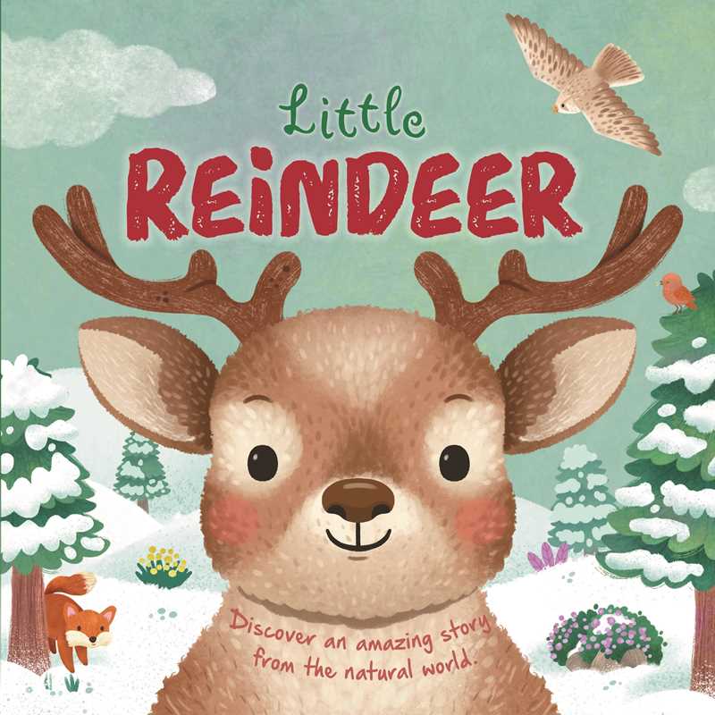 Nature Stories: Little Reindeer By Igloobooks Book