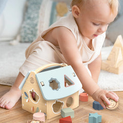 House Shape Sorter Toy