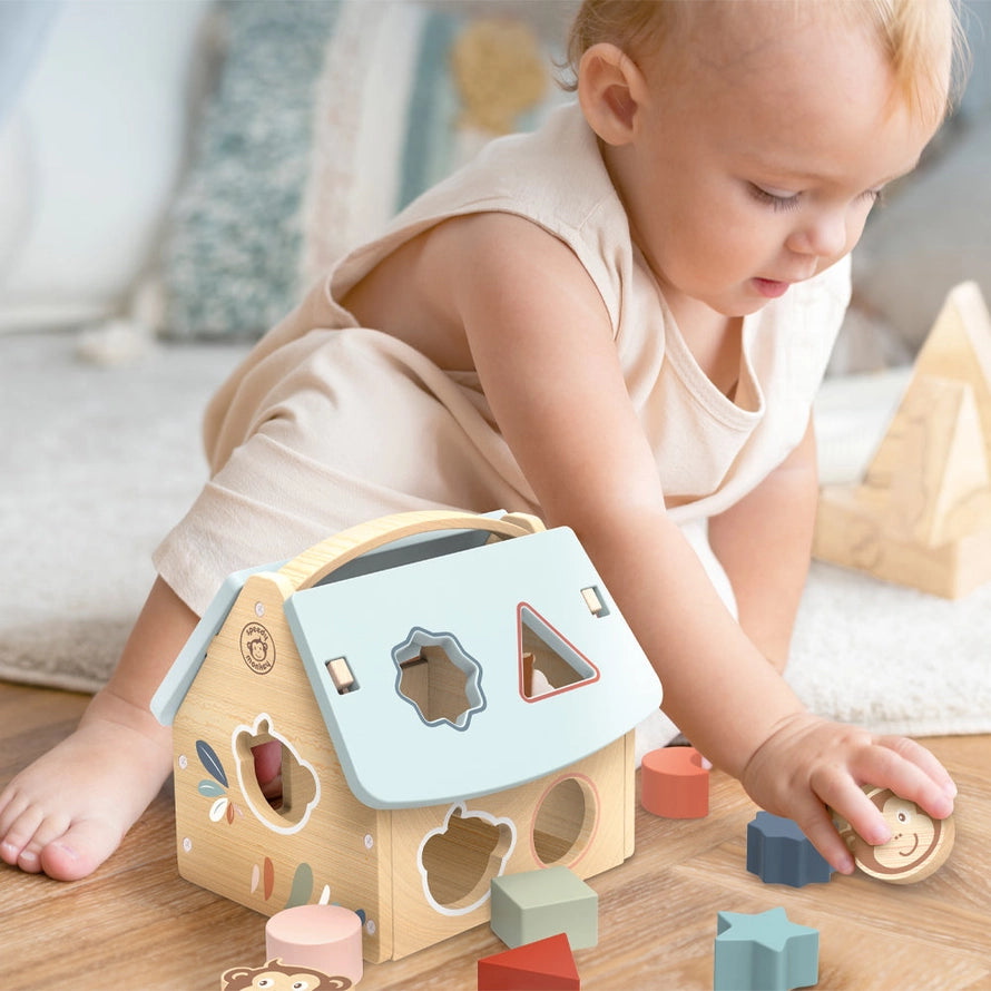 House Shape Sorter Toy
