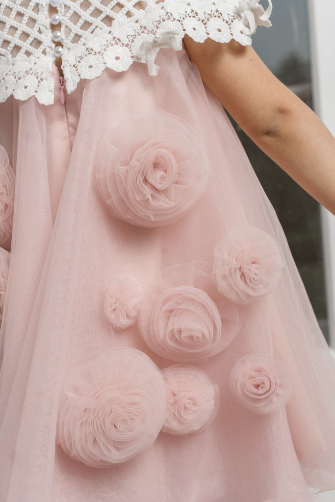 Tulle and Roses Dress main image 0