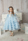Baby Blue Tulle Dress