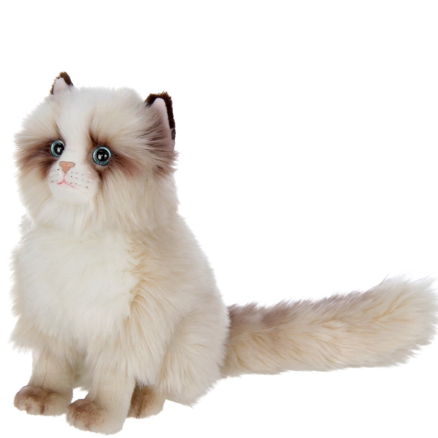 Tasha the Himalayan Cat Toy