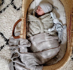 Bud Bunny Silly Buddy Lovely and Pacifier Holder