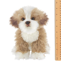 Murphy the Maltipoo Toy Dog