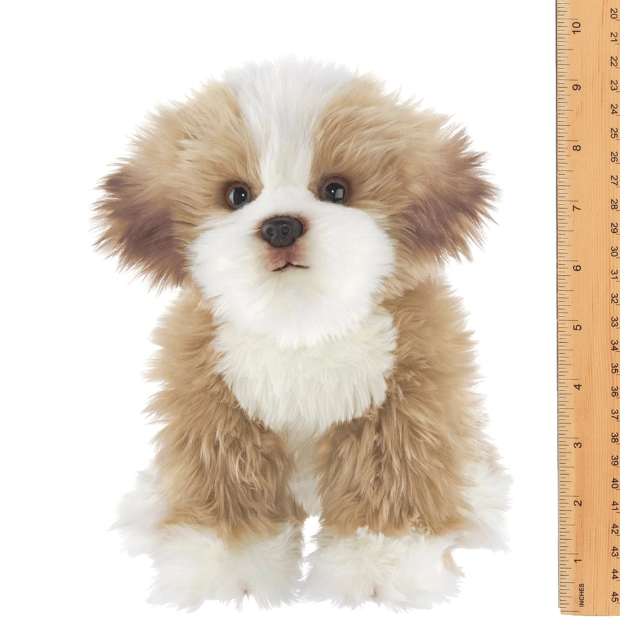 Murphy the Maltipoo Toy Dog