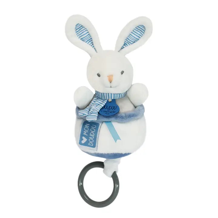 Baby Musical Pull Toys