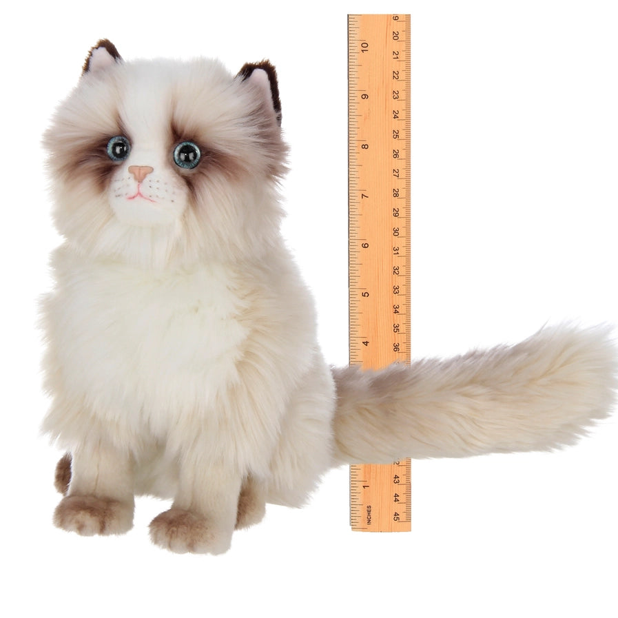 Tasha the Himalayan Cat Toy