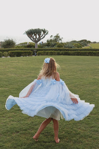 Alaska Baby Blue Tulle Dress