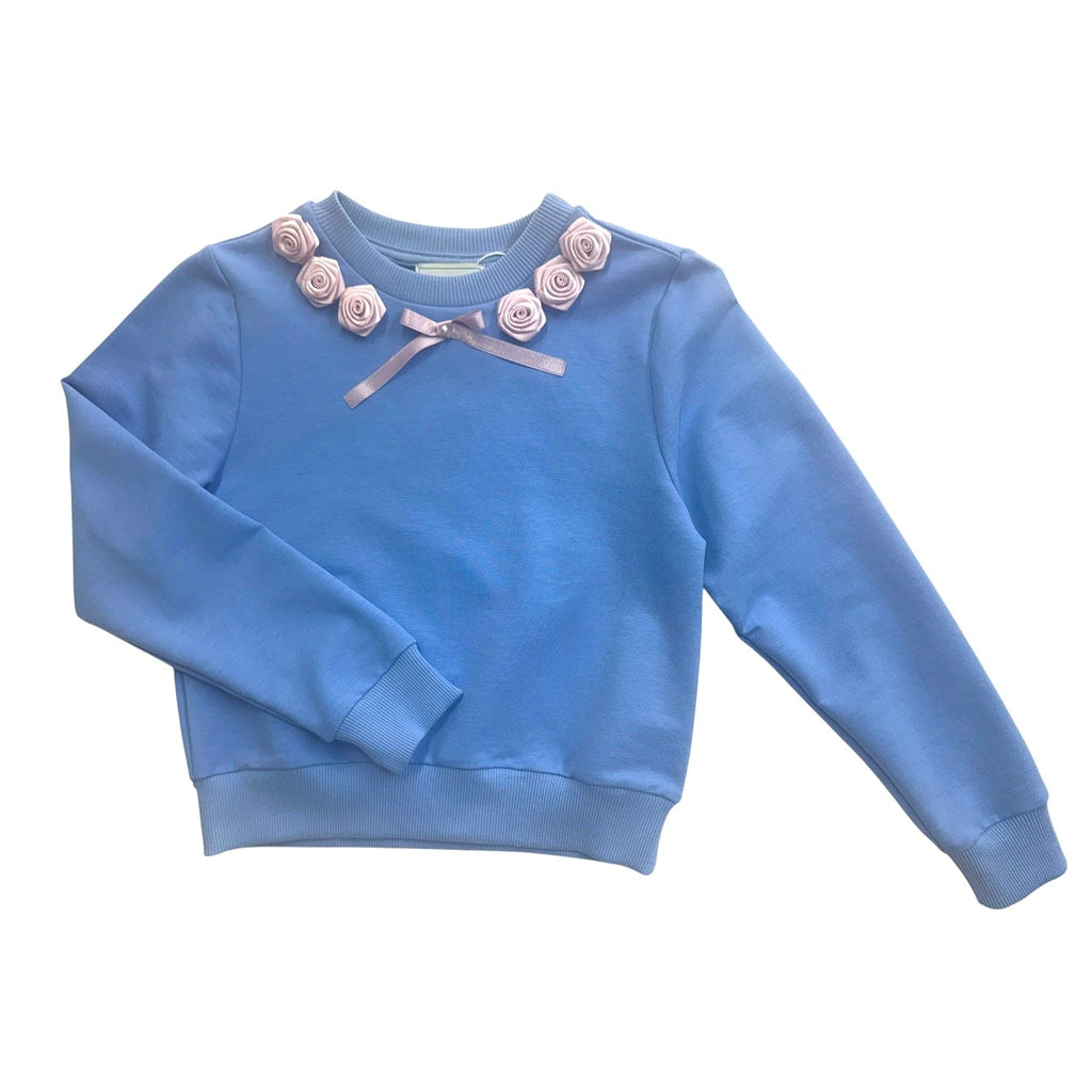Maya Blue Cotton Sweater Top