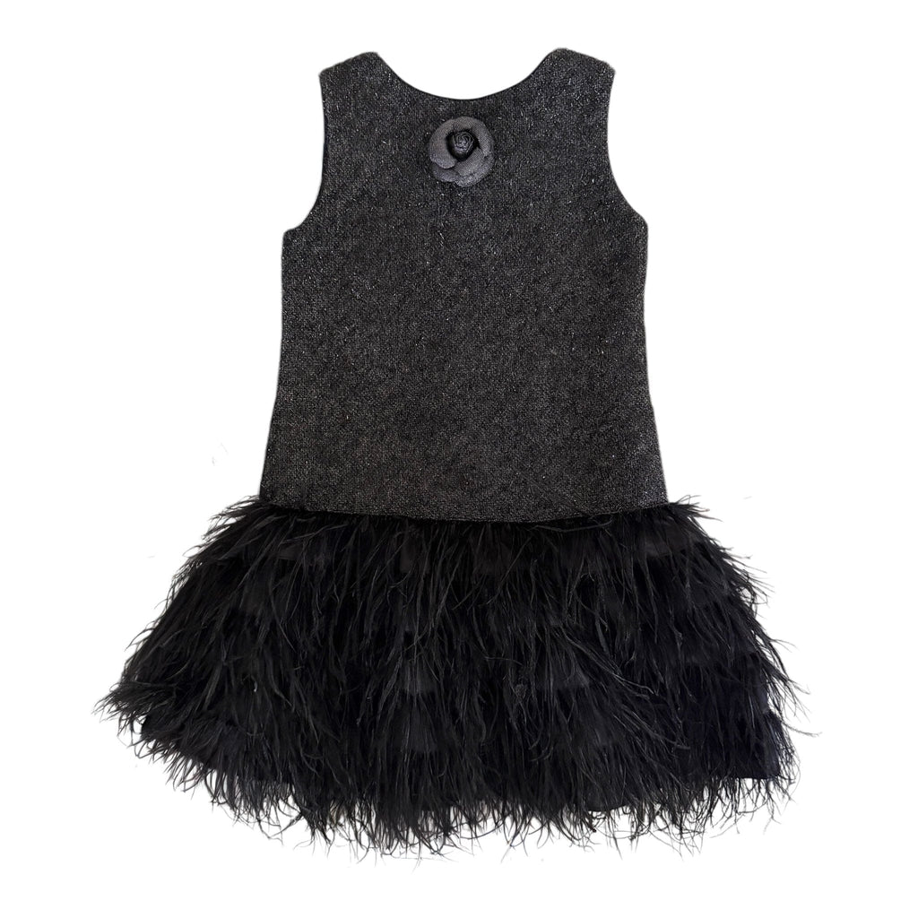 Black Swan Feather Dress