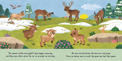 Nature Stories: Little Reindeer By Igloobooks Book