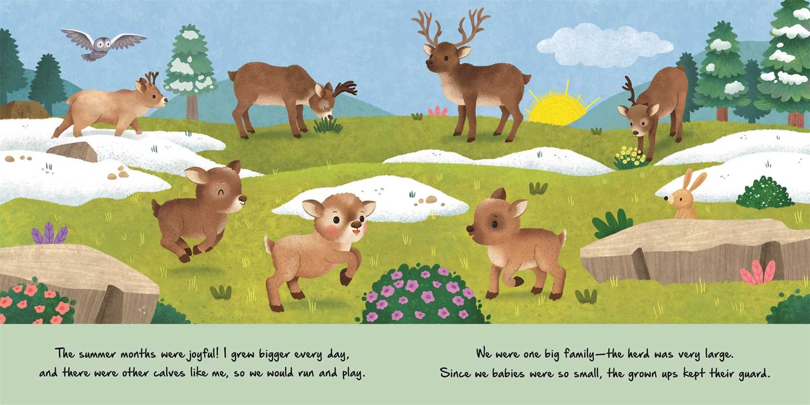 Nature Stories: Little Reindeer By Igloobooks Book