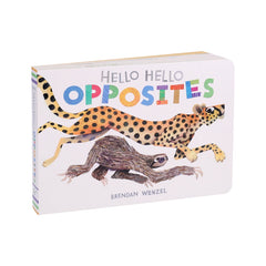 Hello Hello Opposites Book