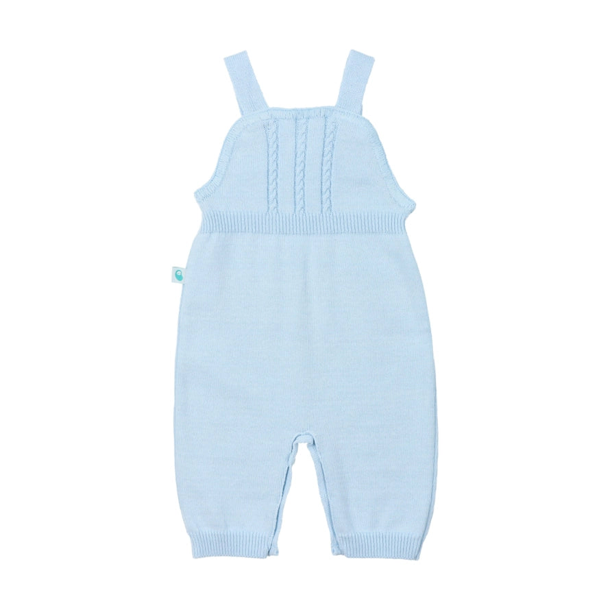 Baby Blue Cotton Pant Overalls