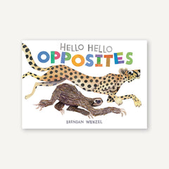 Hello Hello Opposites Book