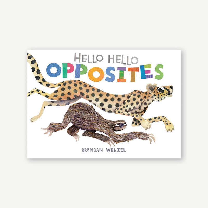 Hello Hello Opposites Book