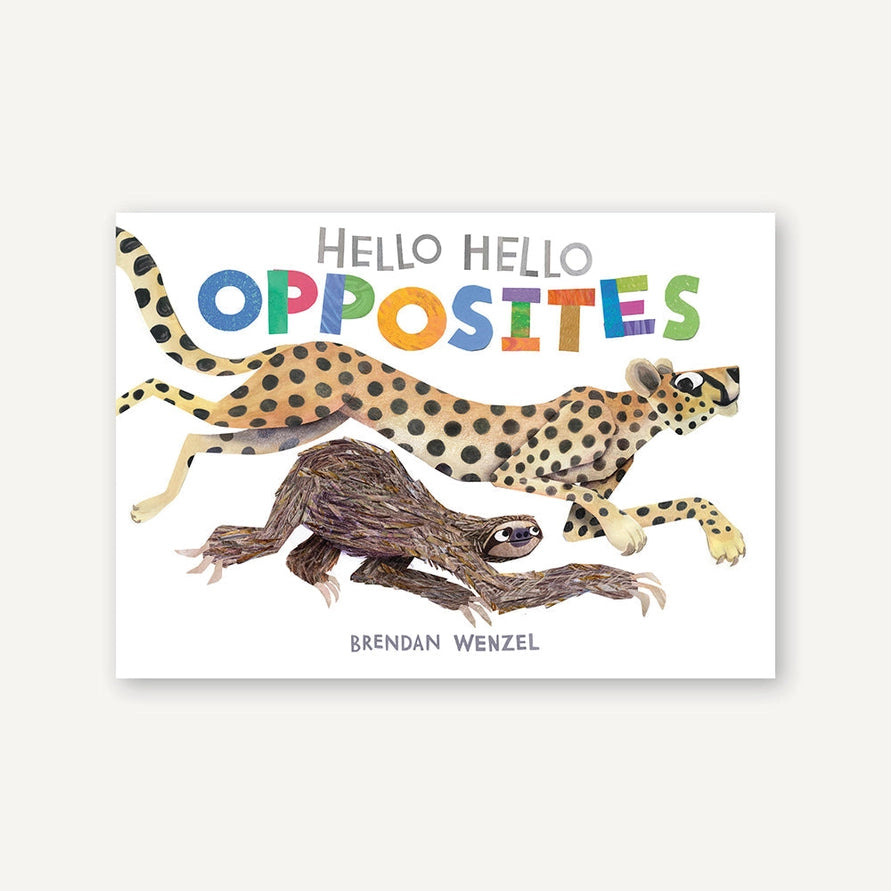 Hello Hello Opposites Book