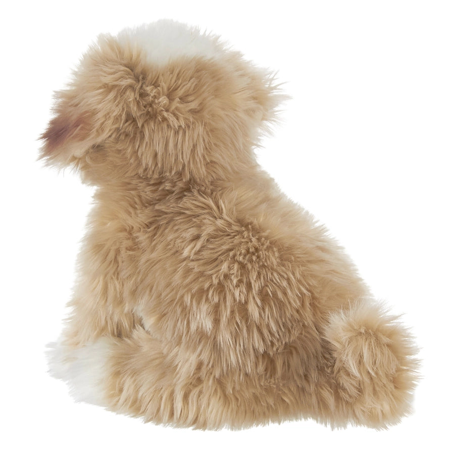 Murphy the Maltipoo Toy Dog