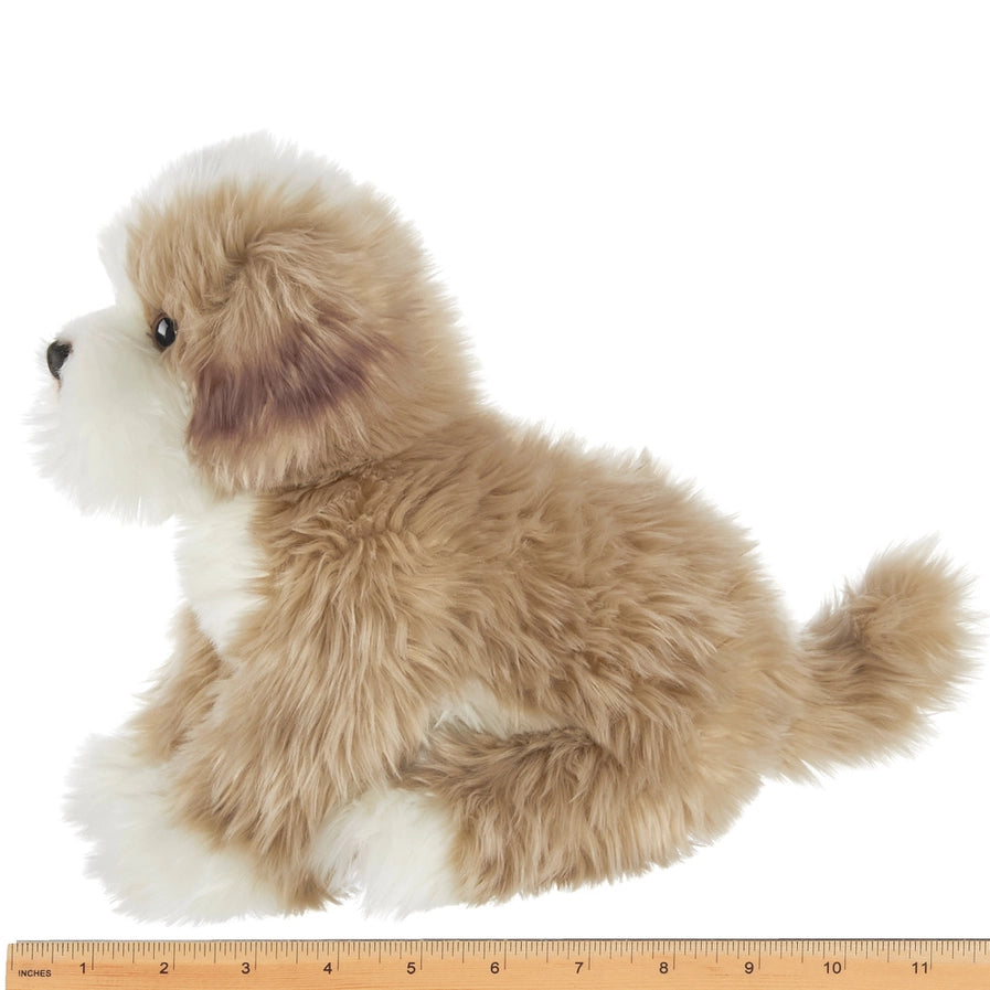 Murphy the Maltipoo Toy Dog