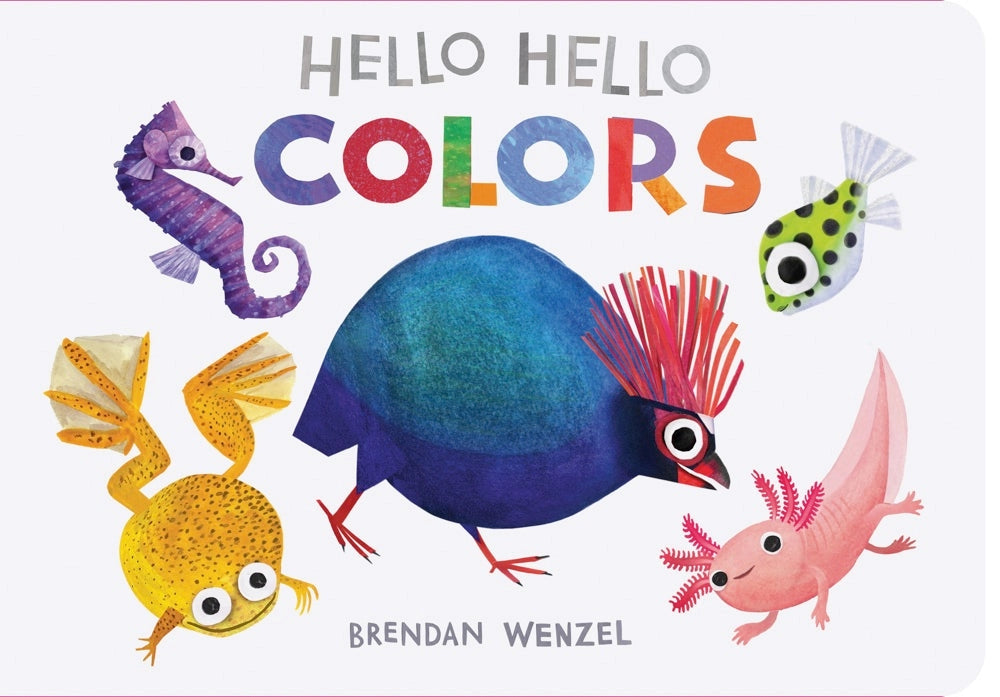 Hello Hello Colors Book