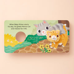 Baby Kitten Book