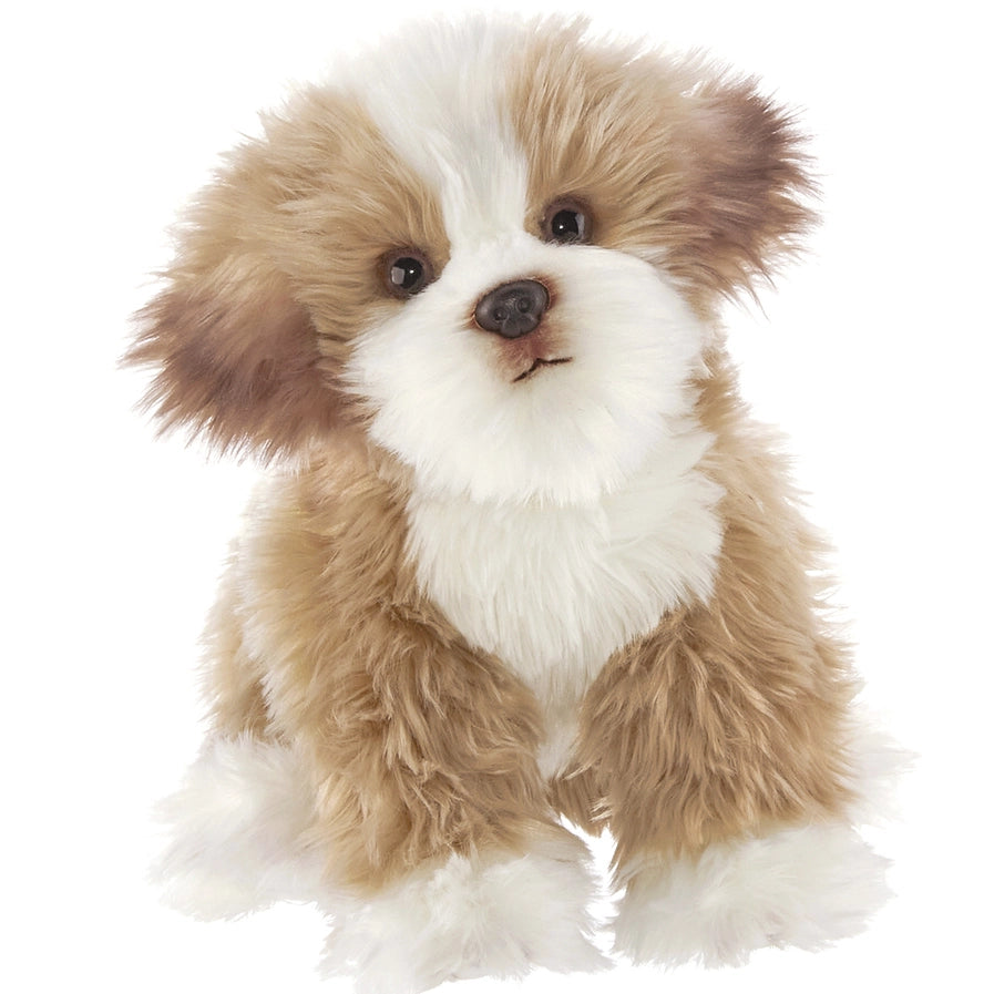 Murphy the Maltipoo Toy Dog
