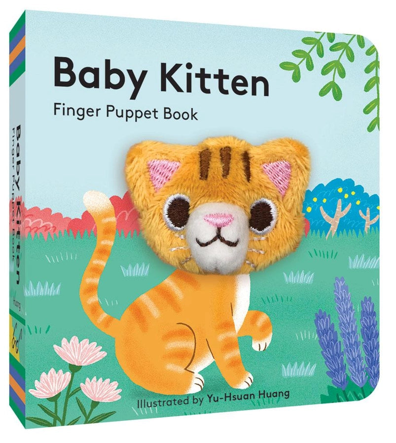 Baby Kitten Book