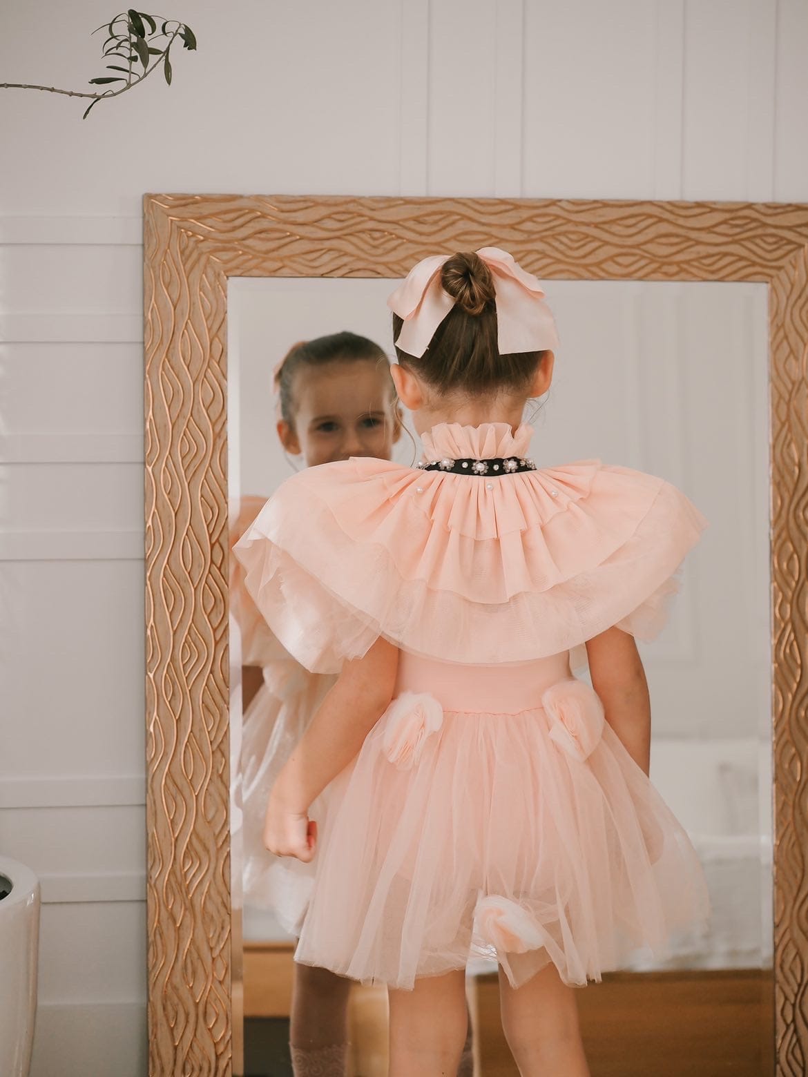 Victorian Peach Tulle Cape