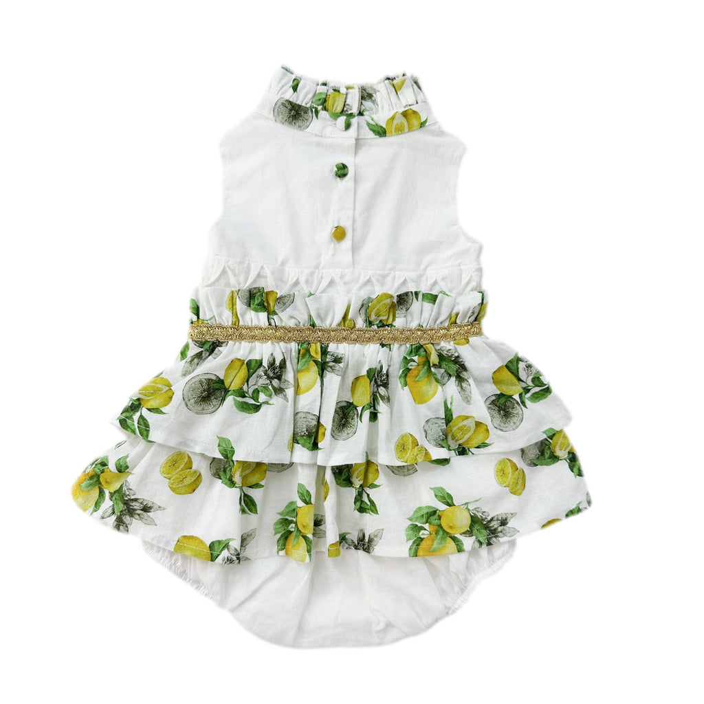 Amalfi Lemon Print Shorts